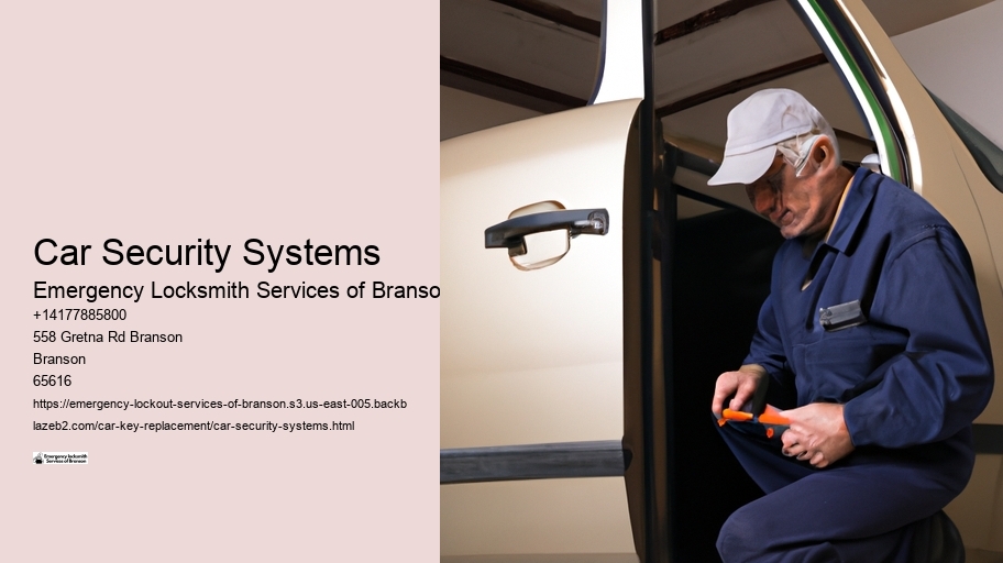 Car Security Systems