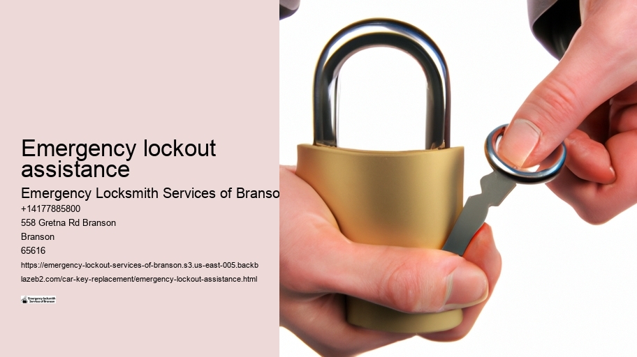 Emergency lockout assistance