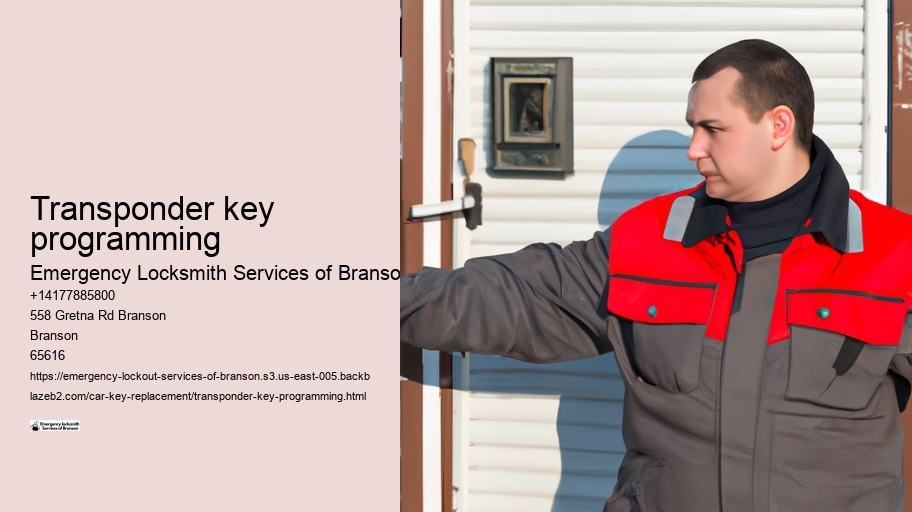 Transponder key programming